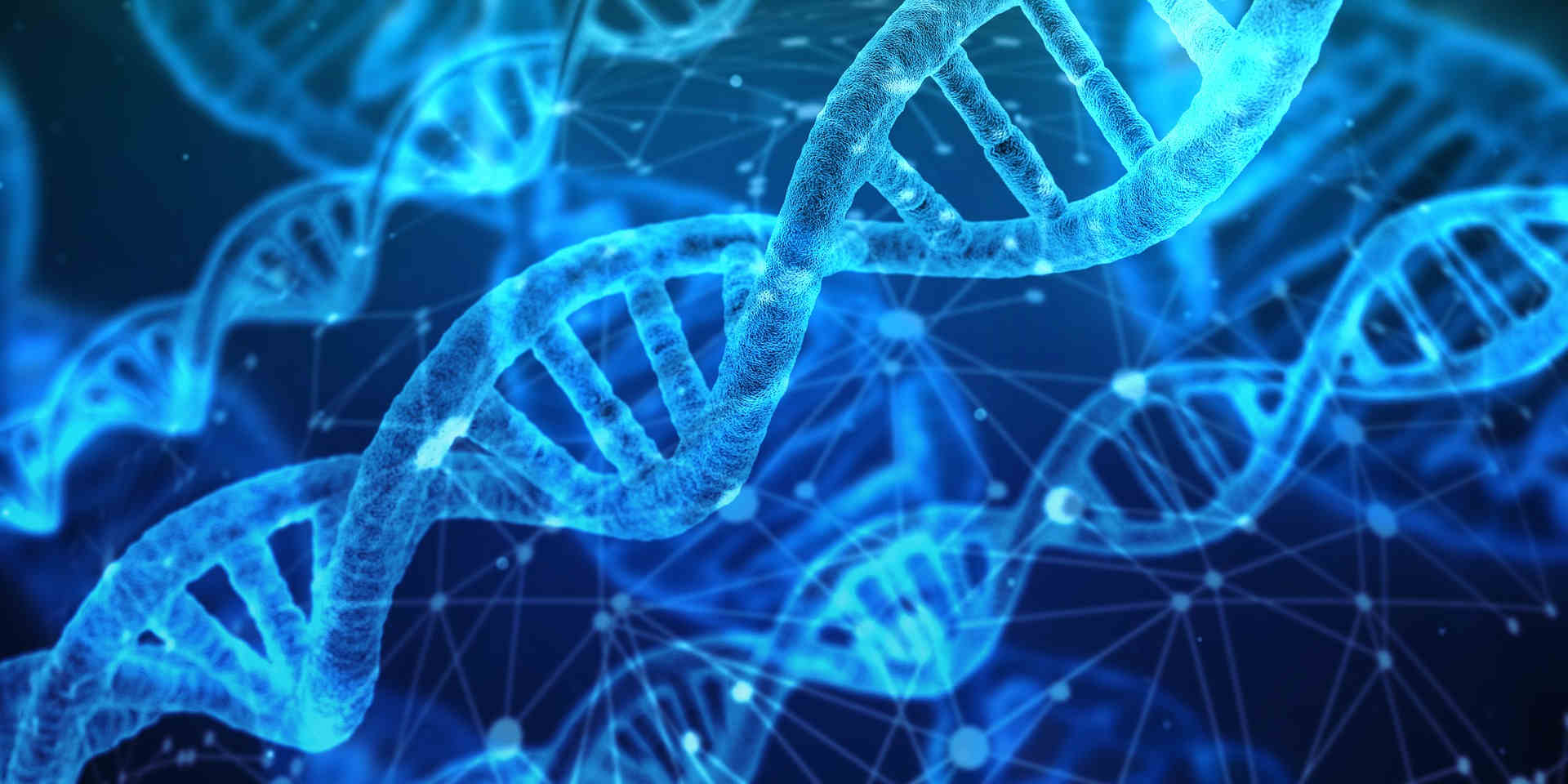 Guida didattica di scienze per la classe seconda